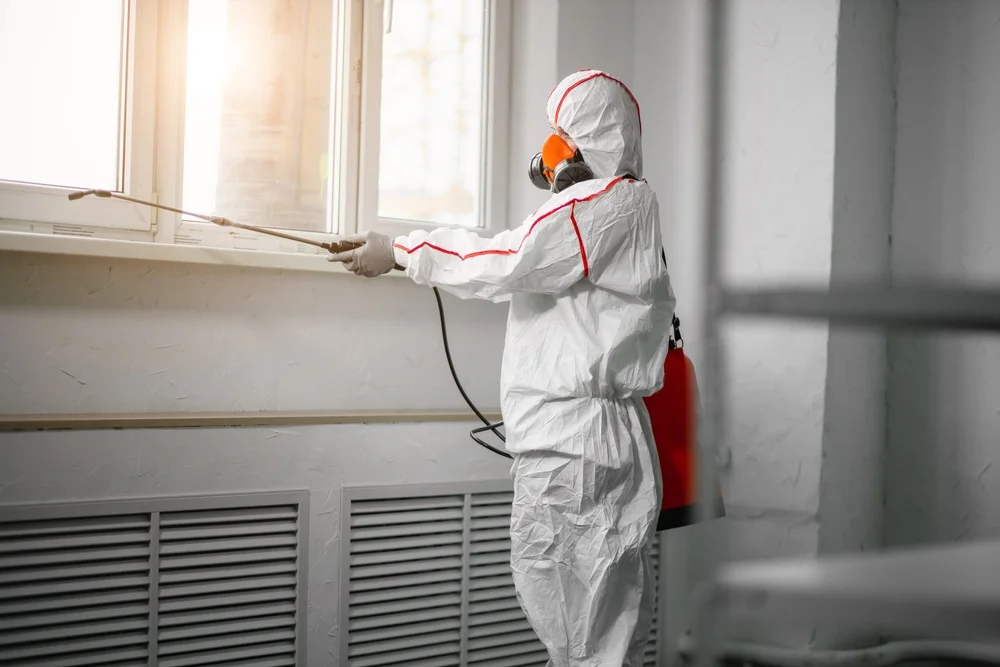 Professional mold remediation services in Middleburg, FL
